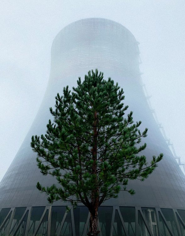 AfterlightImage 20.JPG