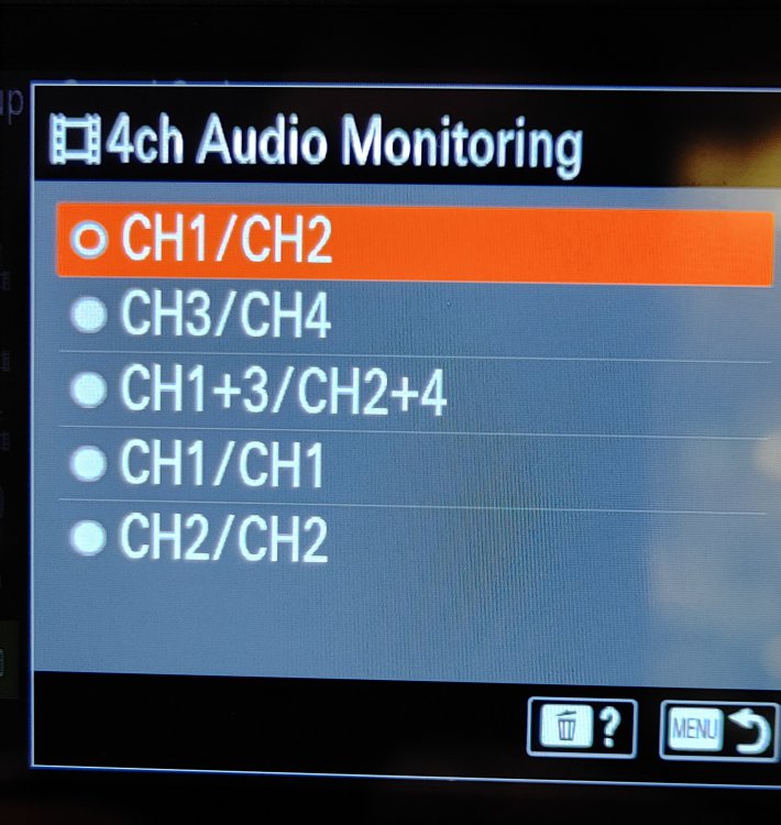 SonyA7SIII_Audio_Monitoring.jpg