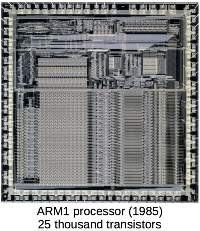 acorn arm1.png