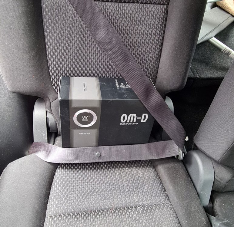 olympus-seatbelt.jpg