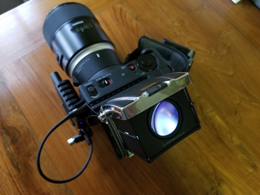 GSS viewfinder_2.jpg