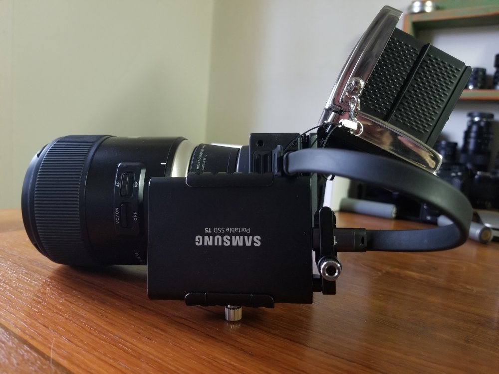 GSS viewfinder_1.jpg