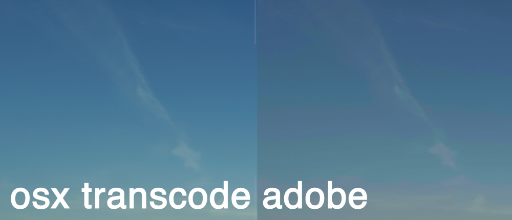 Screen Shot 2021-06-19 at 1.29.26 PM.png