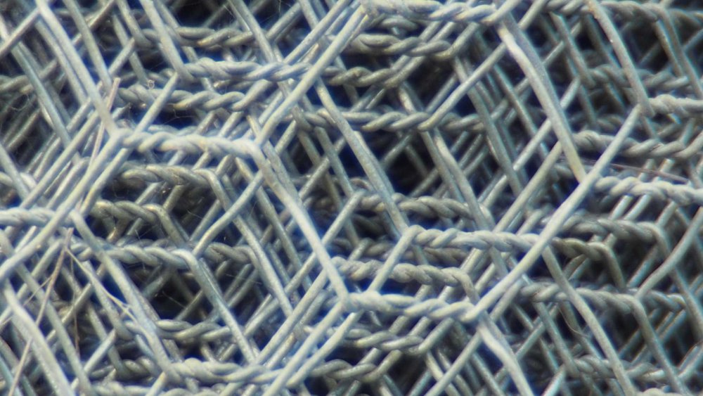 chickenwire-closeup.jpg