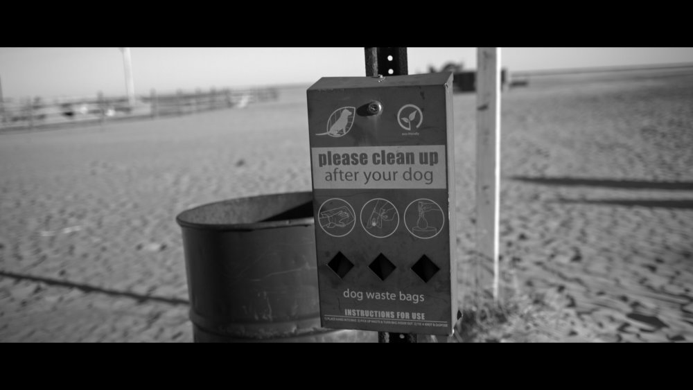 C35 - Dog Park - B&W_1.8.1.jpg