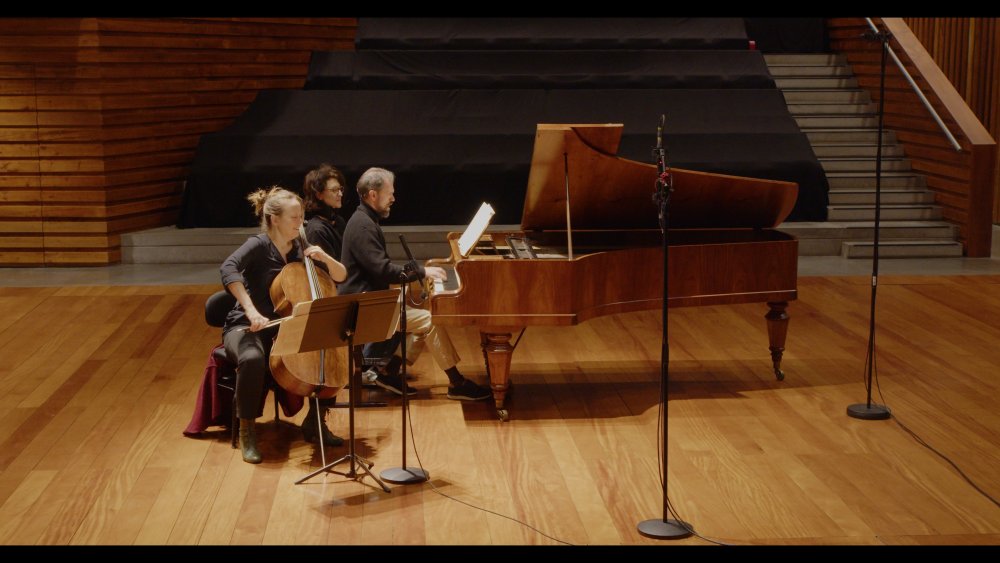 Still 2024-11-04 161440_1.3.1.jpg