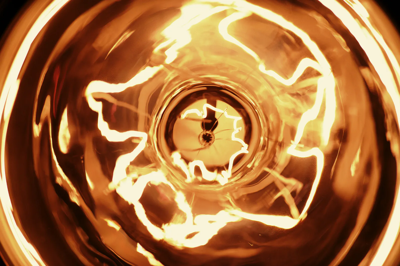 Bulb