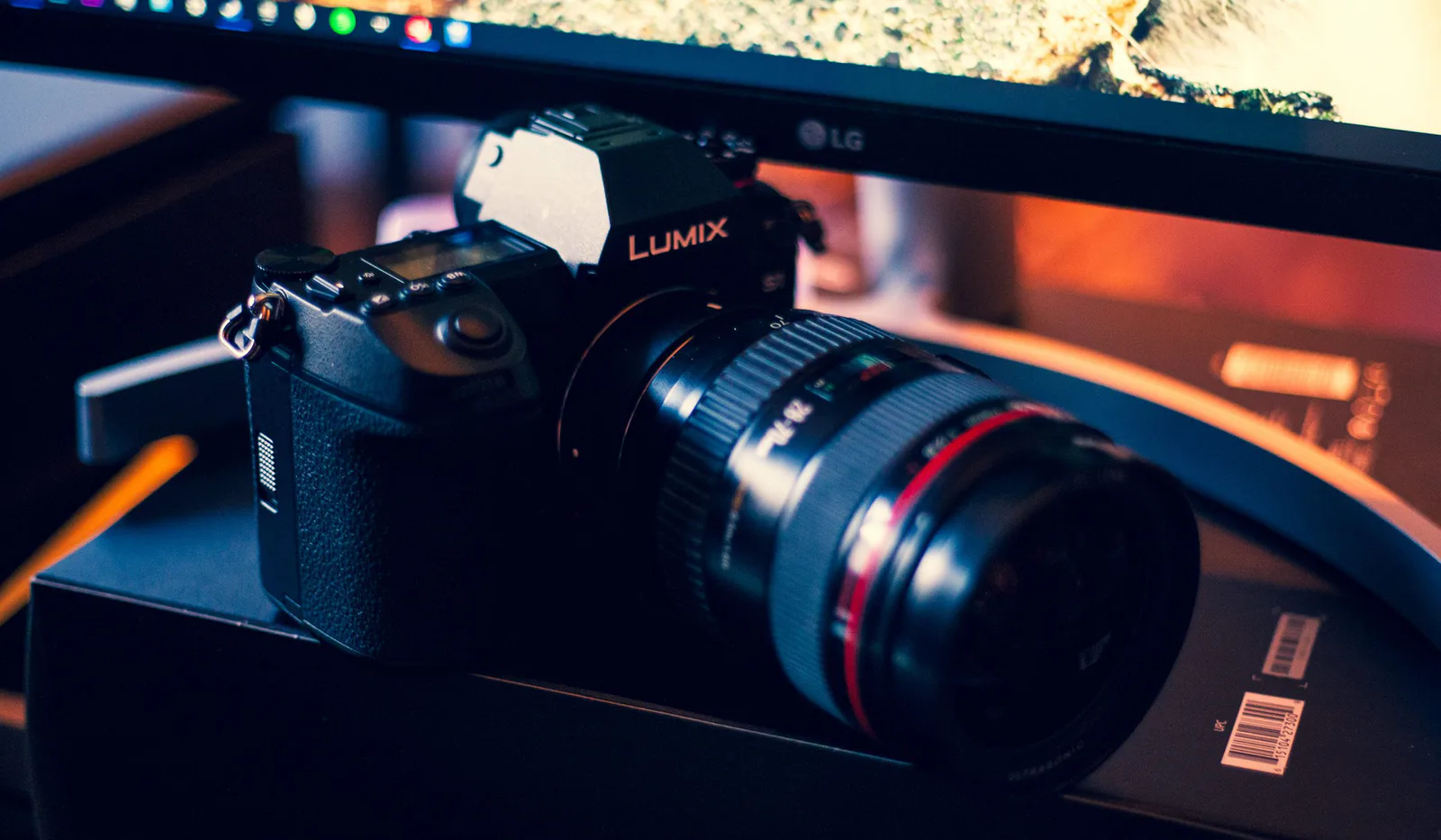 Lumix S1 with Sigma MC-21 and Canon EF 28-70mm lens