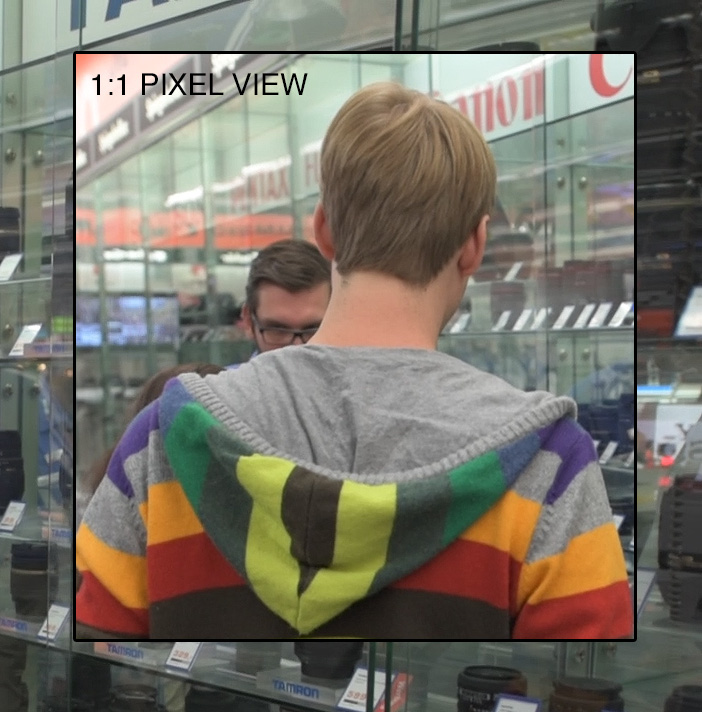 D810 1080p at 1:1 view