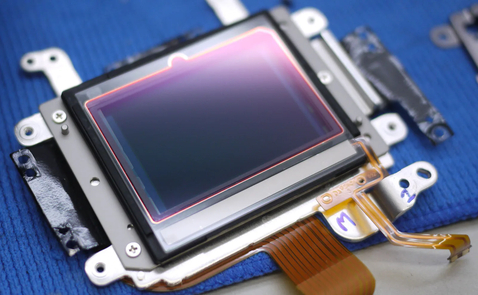 Nikon D850 sensor