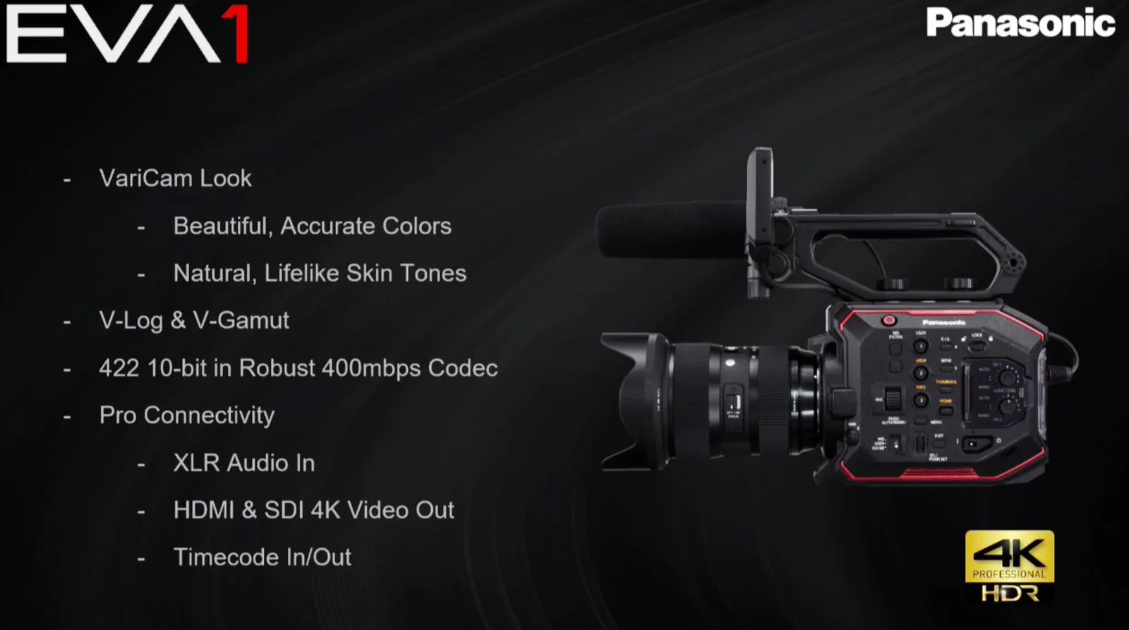 Panasonic EVA1