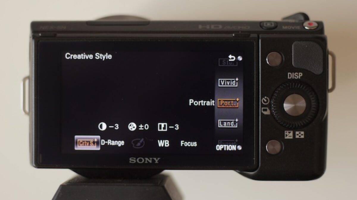 Optimising the Sony NEX 5N for cinematic video - EOSHD.com