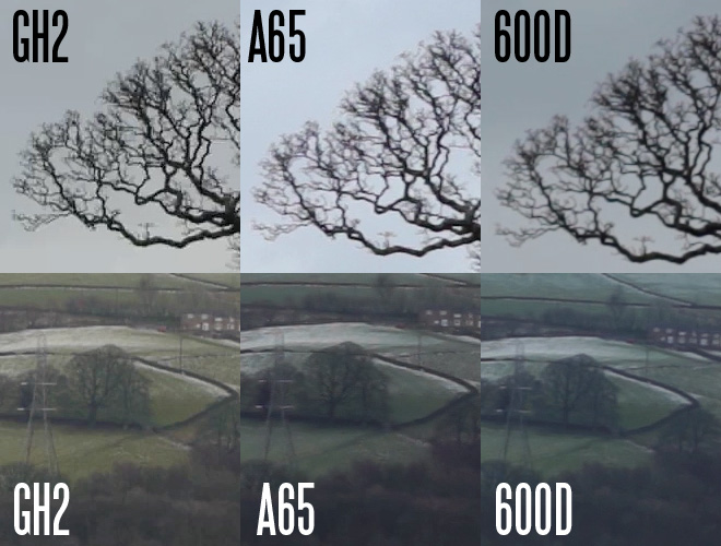 GH2 vs A65 vs 600D - Image processor scaling quality