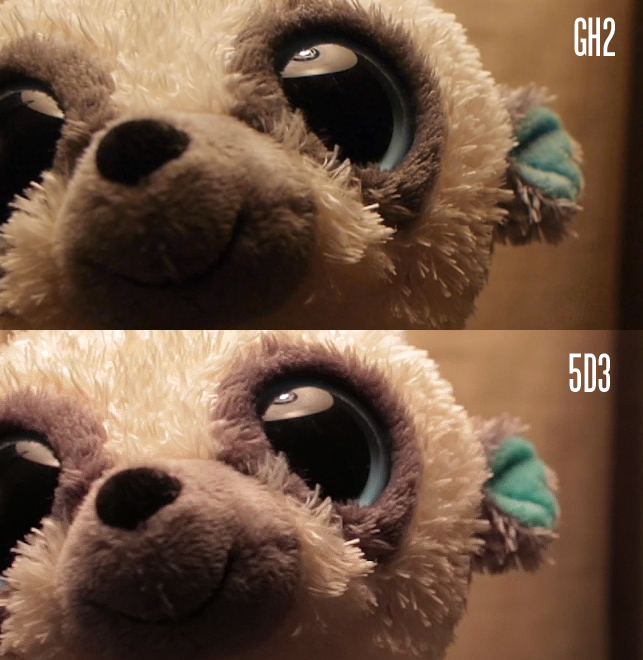 GH2 vs 5D Mark III