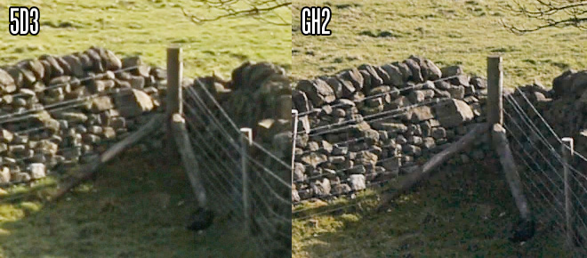 5D Mark III vs GH2 - lows