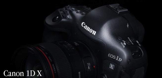 Canon 1D X