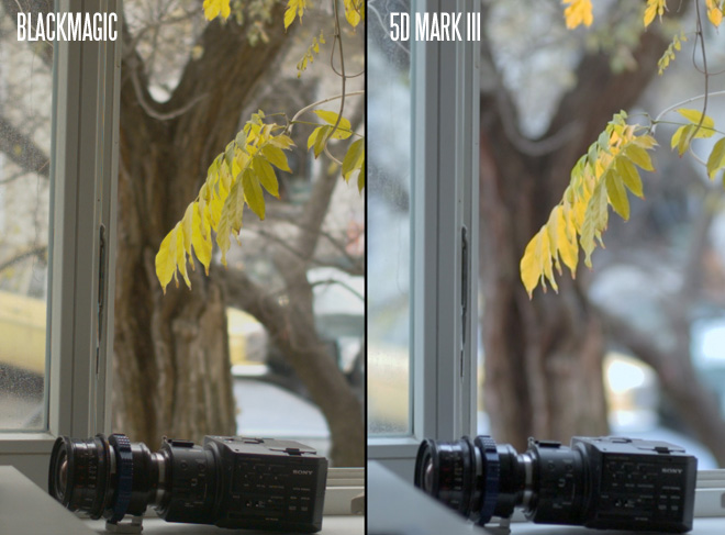 BMCC vs 5D Mark III