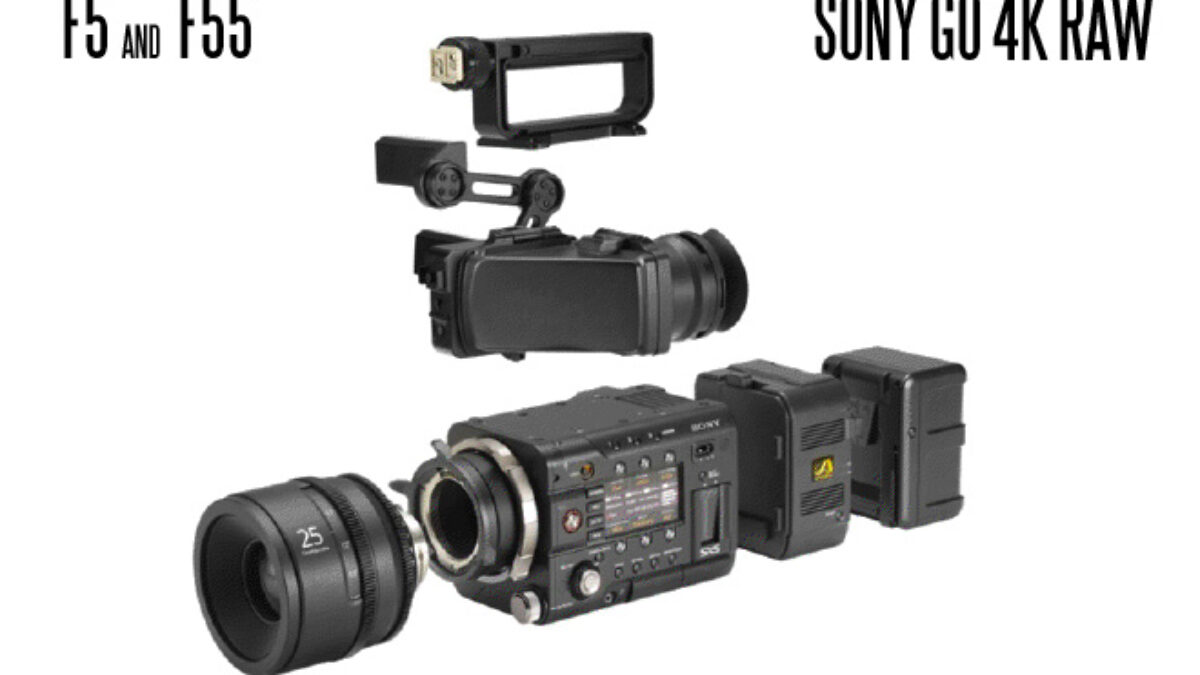 SONY FS5 難あり SONY F55