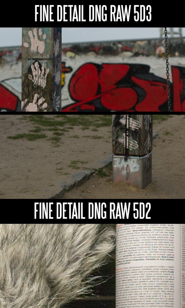 5D Mark III vs II - DNG raw