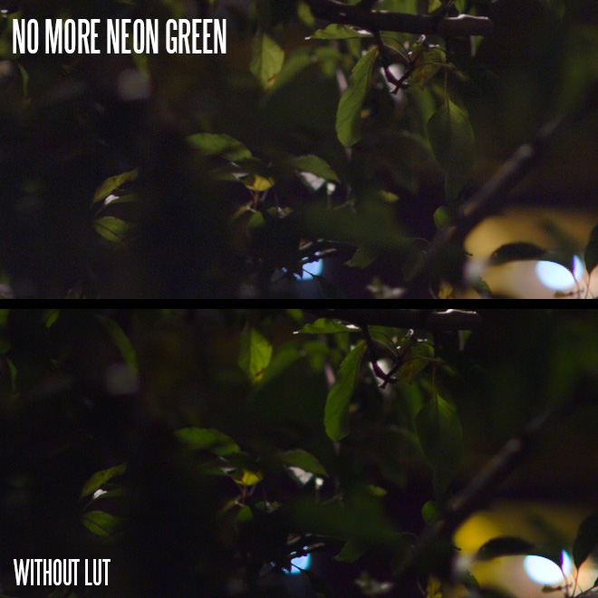 5d3-lut-neon-green