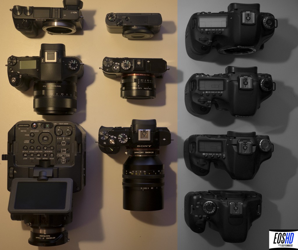 Sony vs Canon camera diversity
