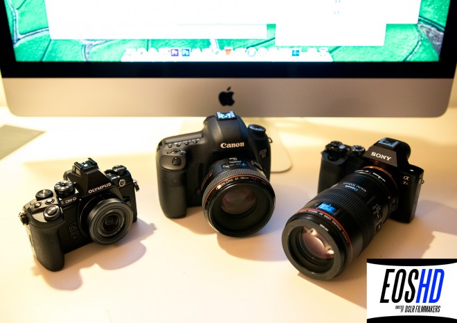 Olympus E-M1 vs 5D Mark III vs Sony A7R