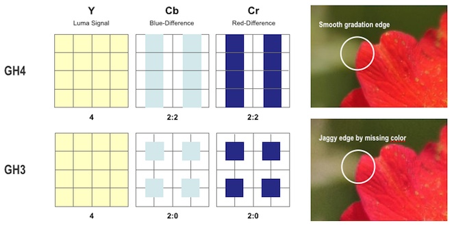 gh4 422 color sampling