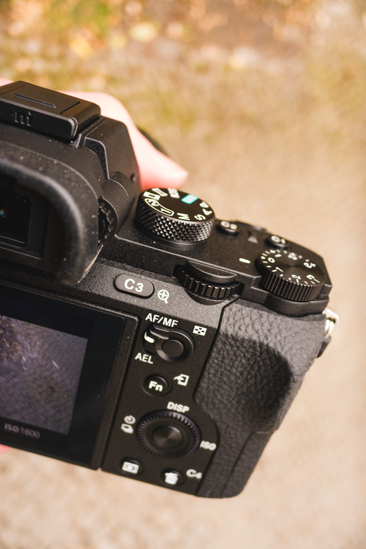 Initial Hands On: Sony a7II With 5 Axis Image Stabilization