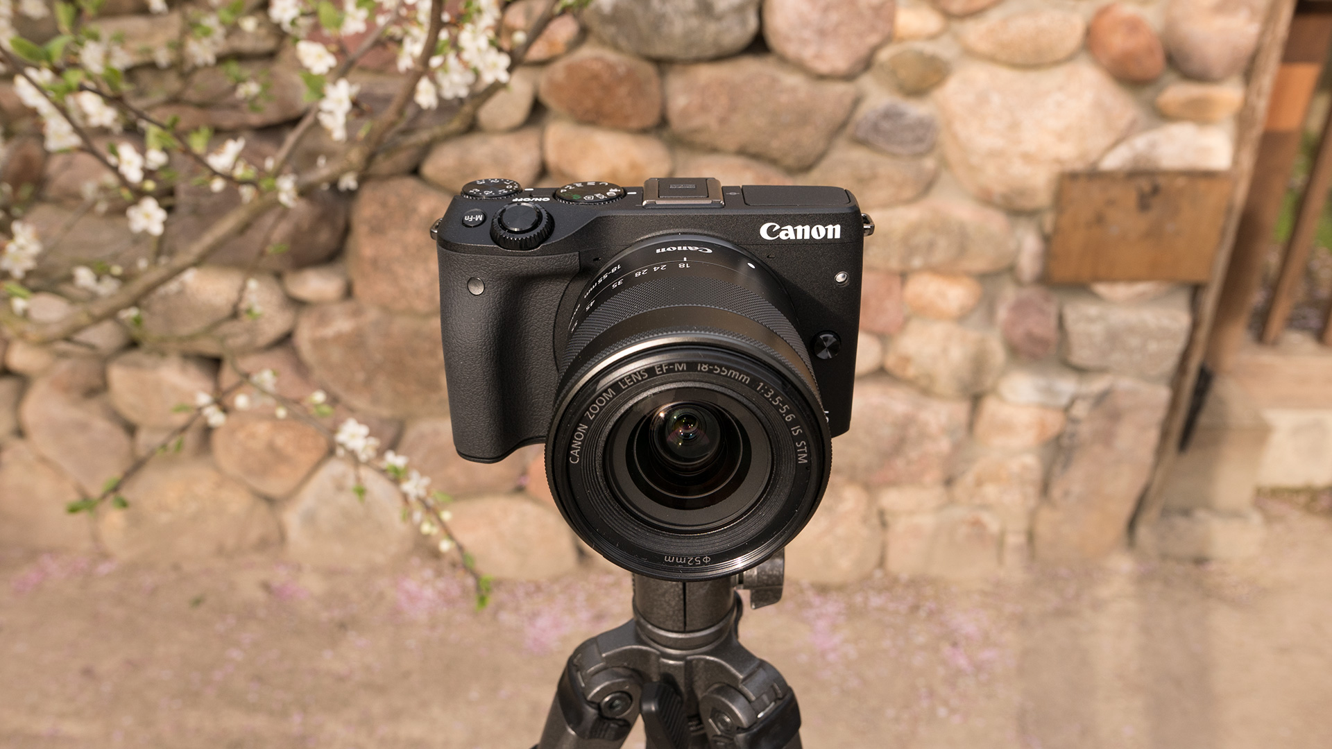 Canon EOS R6 review: A perfect hybrid shooter with a big video flaw