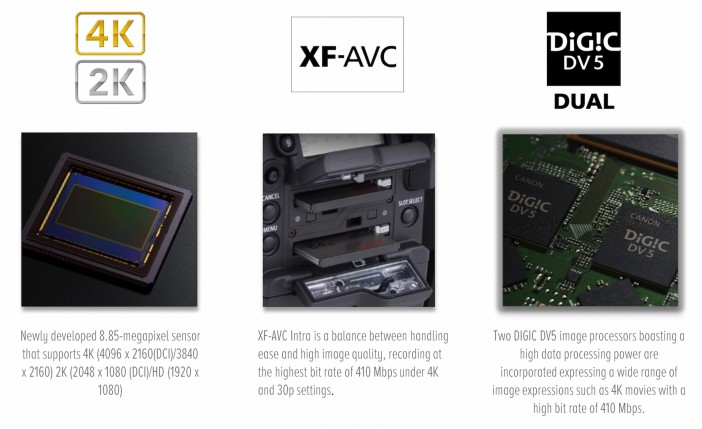 The new XF-AVC codec is essentially 10bit 422 H.264 at a bitrate of 410Mbit/s in 4K mode. The old MPEG 2 codec for 1080p from the C300 is no longer in the camera