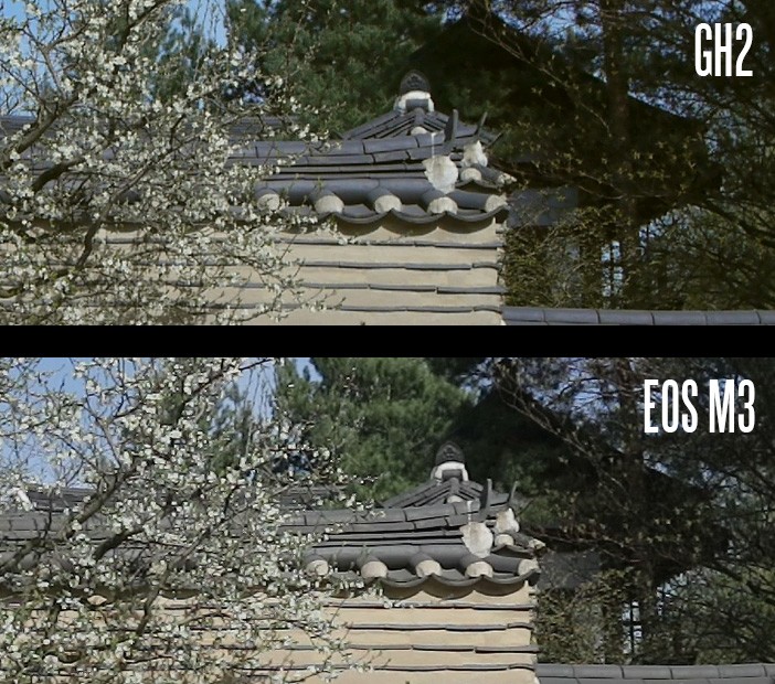 EOS M3 vs GH2