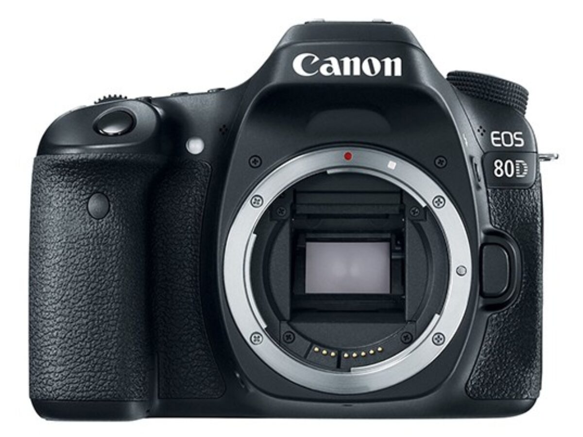 Canon 80D. Chicken feed at the mirrorless banquet - EOSHD.com