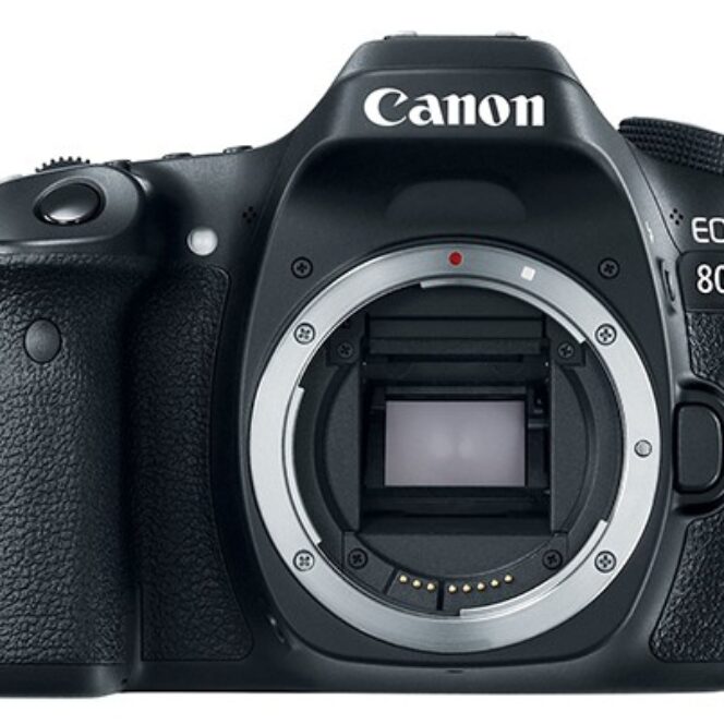 EOS80D-664x664.jpg