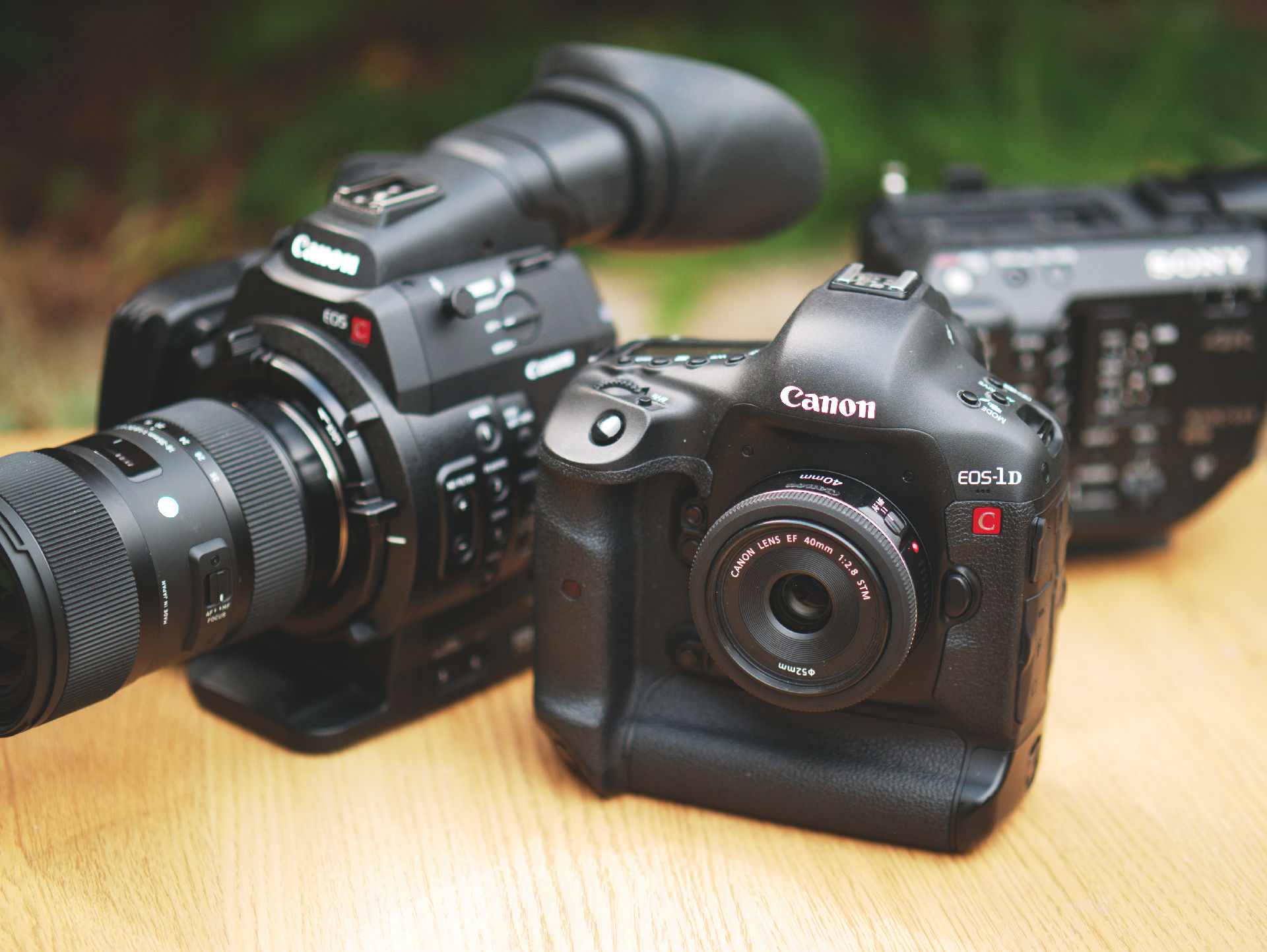 Canon 1D C and C500 size comparison