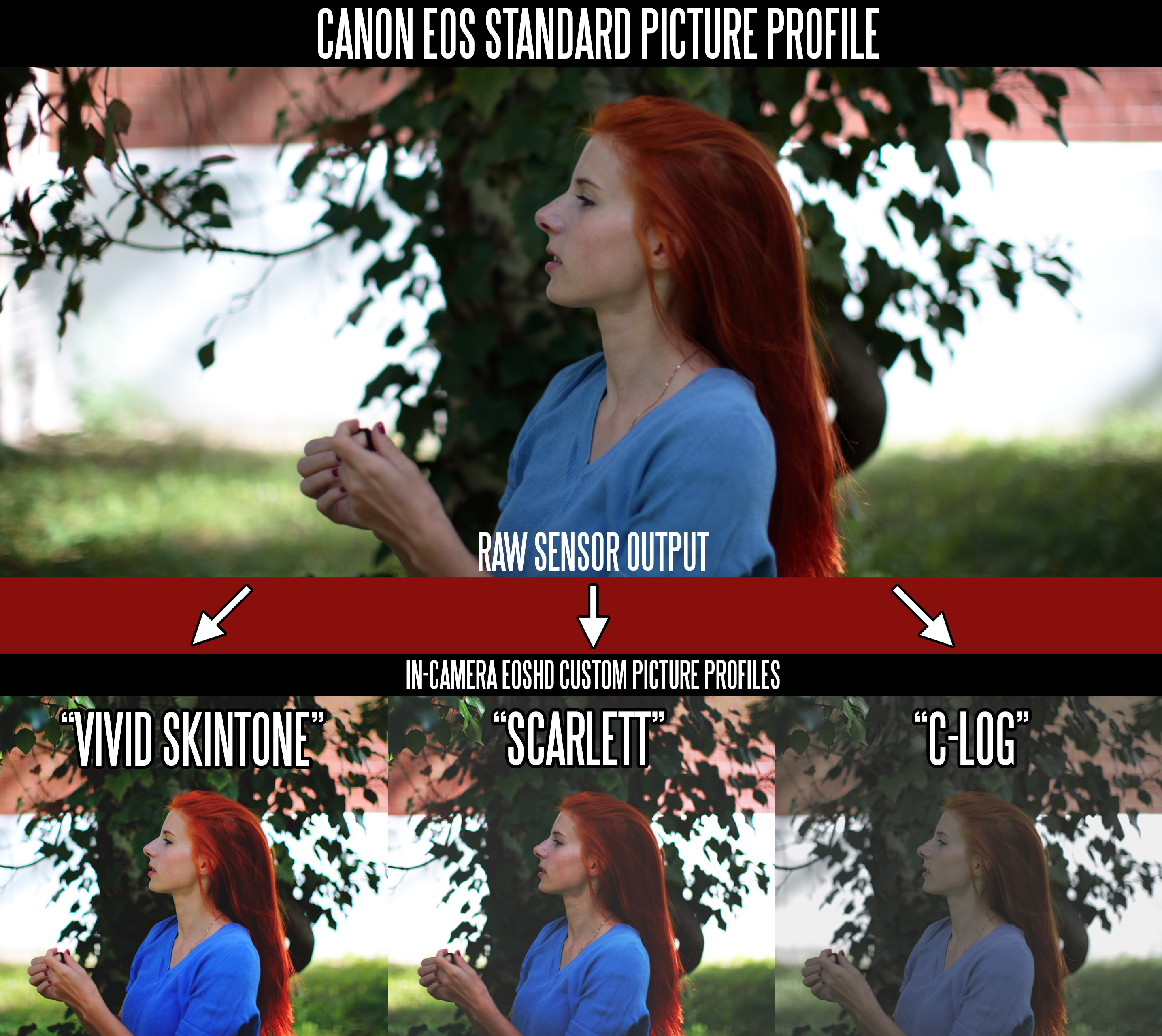 Canon picture profiles download torrent download Canon picture profiles download torrent download