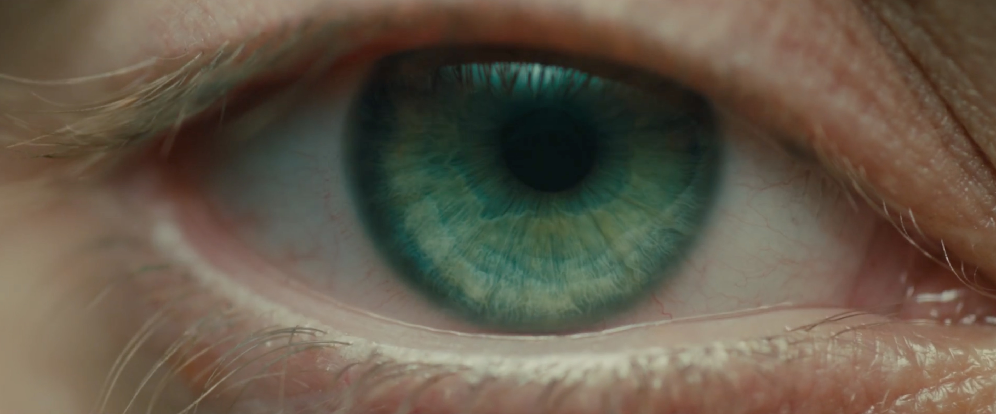 Amazing Shots of BLADE RUNNER 2049