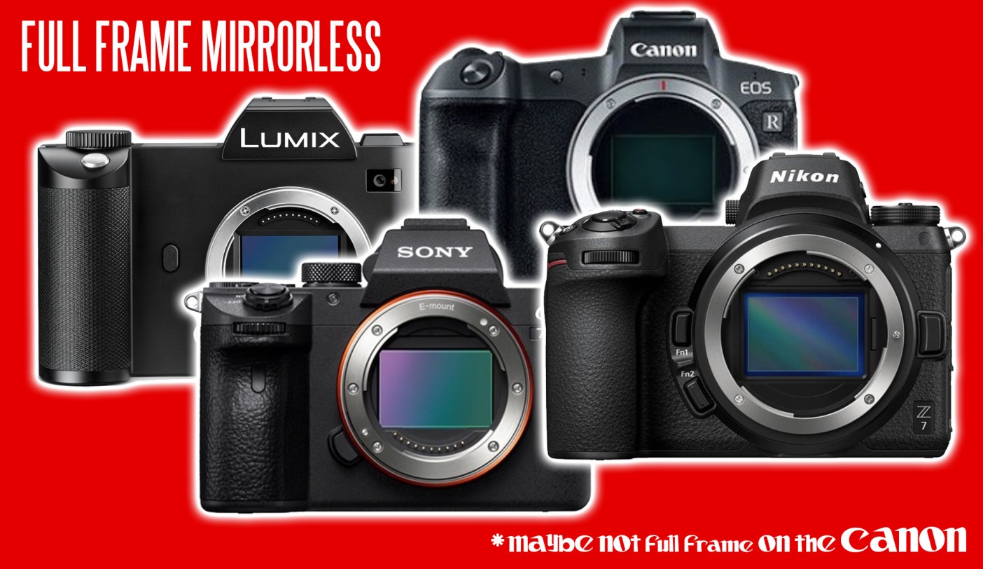 4 way battle rating the chances of Panasonic vs Canon vs Nikon vs