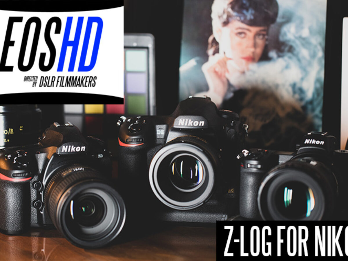 Nikon D850 Z6 Log Nikon Z6II 24-120mm F/4 Kit