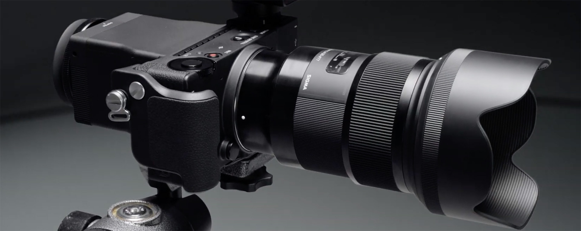 Jual Sigma Fp Murah Harga Terbaru 2021 Jual Sigma Fp Murah Harga Terbaru 2021