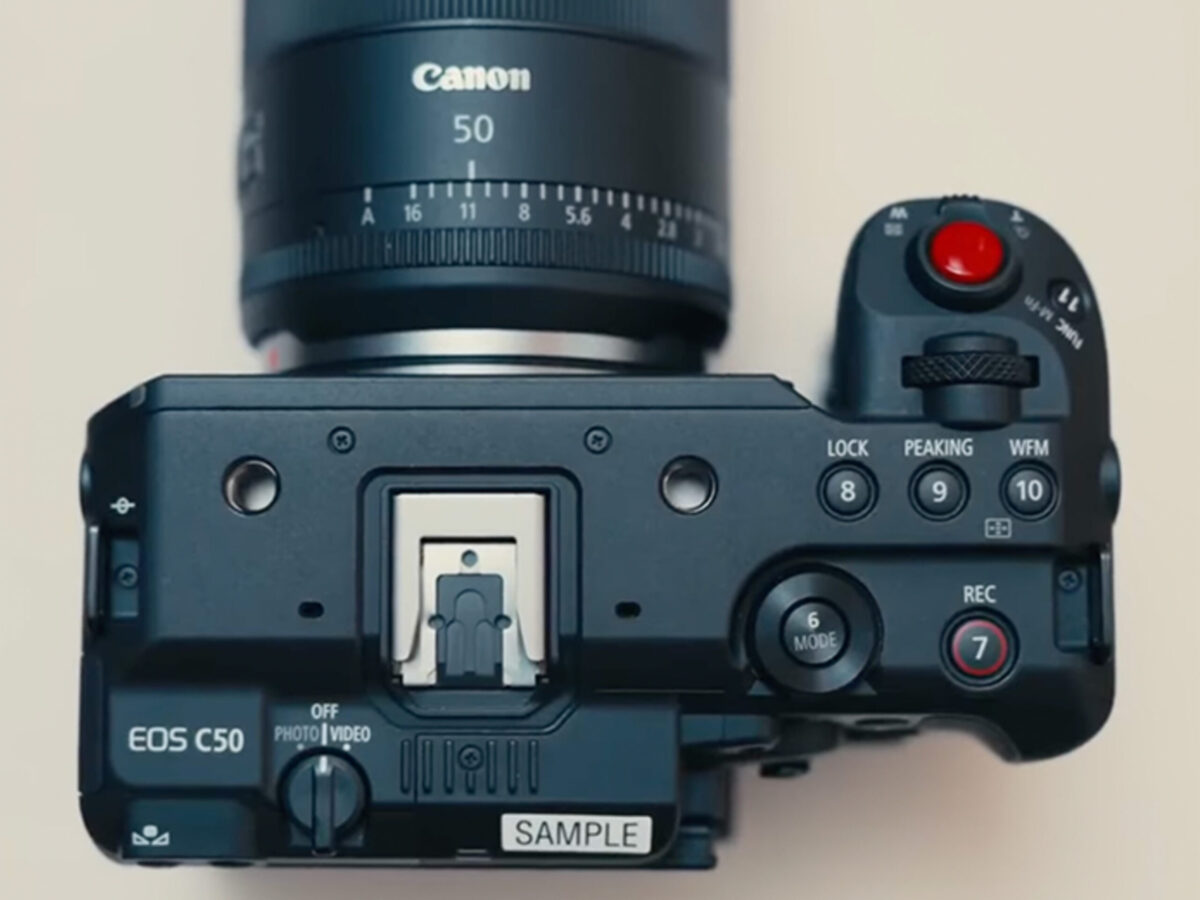 Nikon Zr and Canon Cinema EOS C50 pictured in the wild - EOSHD.com